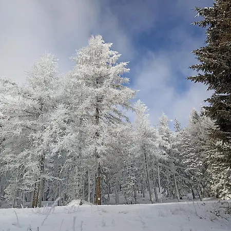 Ecogite Du Mas De Trape Panzió Talau