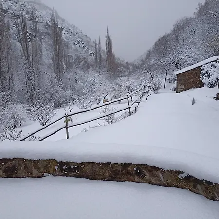 Ecogite Du Mas De Trape Couette-café *