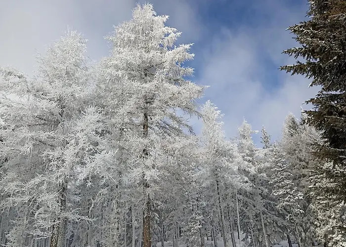 Ecogite Du Mas De Trape Panzió Talau
